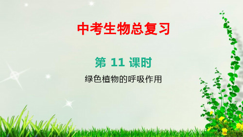 江西中考生物总复习——第11课时 绿色植物的呼吸作用