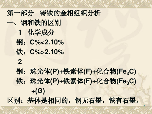 灰铸铁金相分析ppt课件