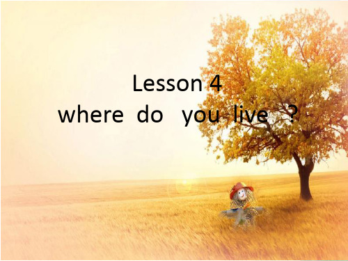 科普版-英语-五下-Lesson 4 WHERE DO YOU LIVE (2)