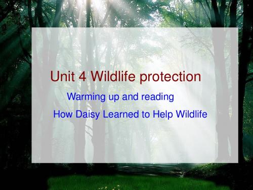 人教版英语必修二Unit 4(Warming up and Reading)教学同步课件(共29张PPT)