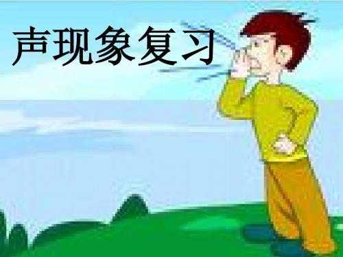 中考物理复习声现象