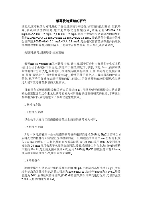 紫萼快速繁殖的研究