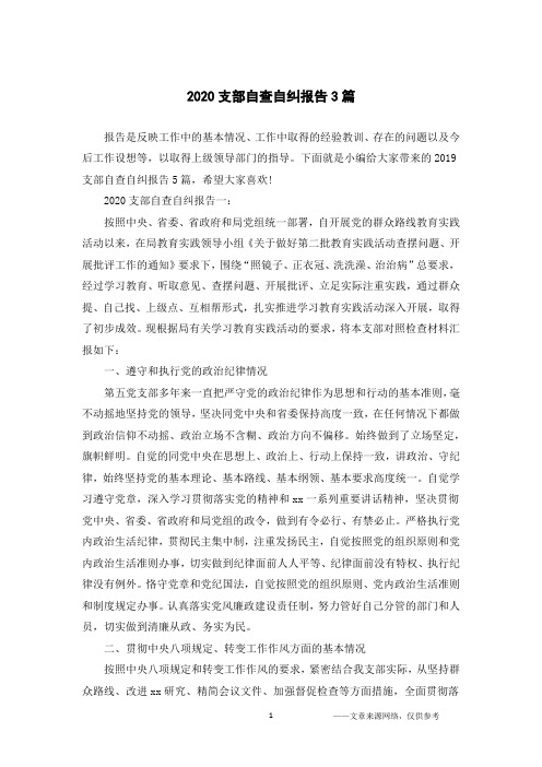 2020村党支部自查自纠报告3篇