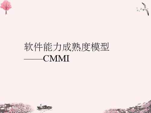 CMMI过程域全