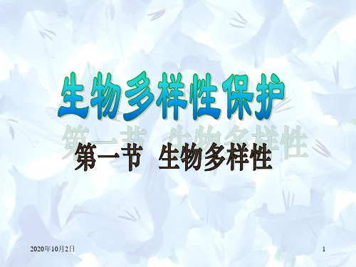 23.1生物多样性PPT课件