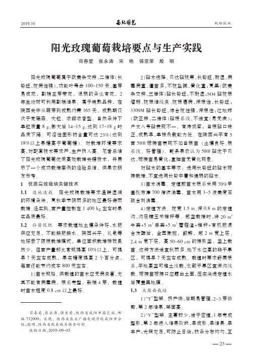 阳光玫瑰葡萄栽培要点与生产实践