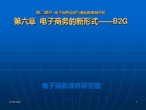 第六章 电子商务的新形式――B2GPPT课件
