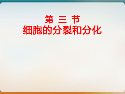 苏教版生物七年级上册精品课件细胞的分裂与分化