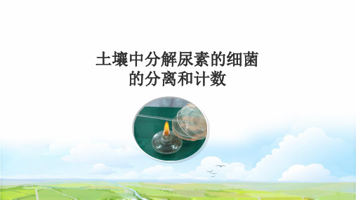 高中生物选修1精品课件15：2.2 土壤中分解尿素的细菌的分离与计数