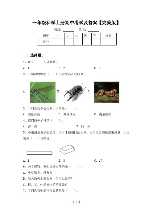 一年级科学上册期中考试及答案【完美版】