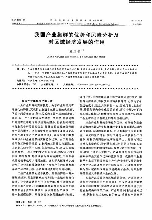 我国产业集群的优势和风险分析及对区域经济发展的作用