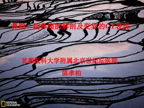 副鼻窦解剖学基础(呼吸与鼻)