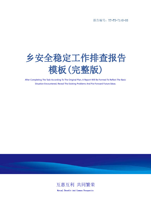 乡安全稳定工作排查报告模板(完整版)