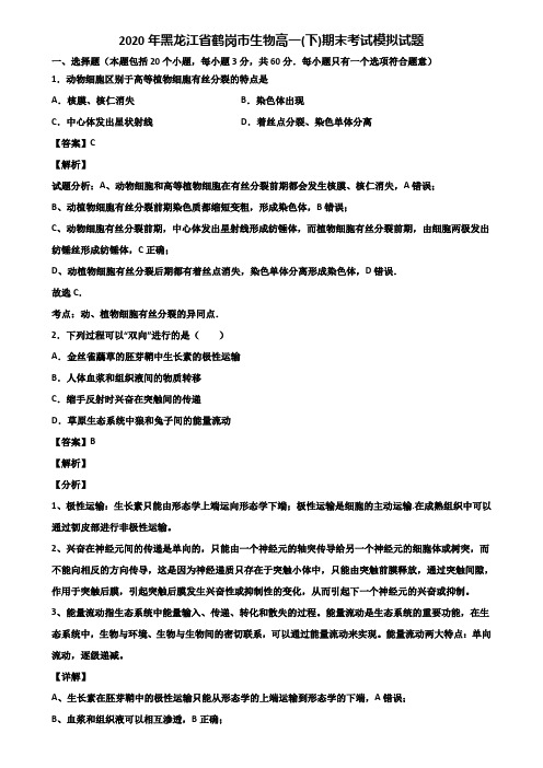 2020年黑龙江省鹤岗市生物高一(下)期末考试模拟试题含解析