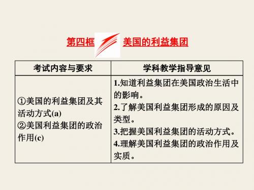 高中政治人教版选修3(浙江专版)课件：专题三 第四框 美国的利益集团(共25张PPT)