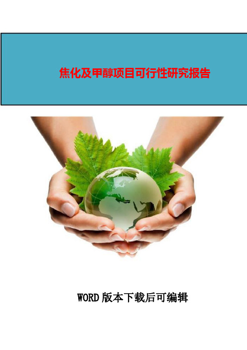 焦化及甲醇项目可行性研究报告