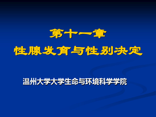11 第十一章 性腺发育与性别决定