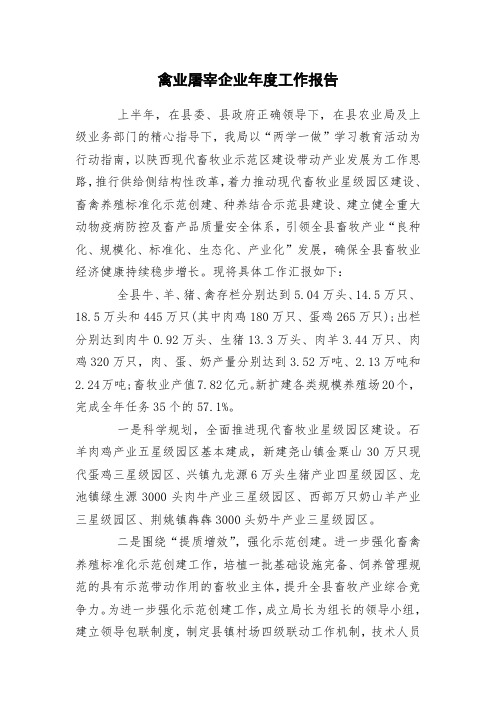 禽业屠宰企业年度工作报告