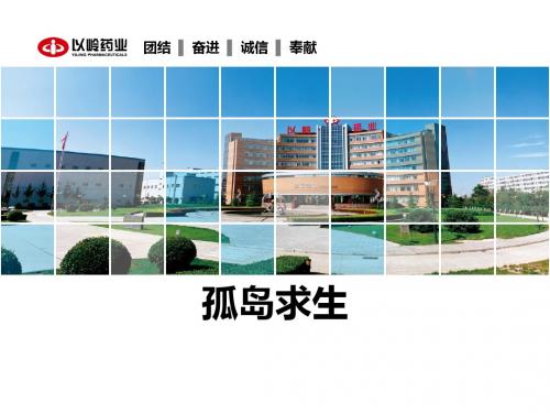 孤岛求生