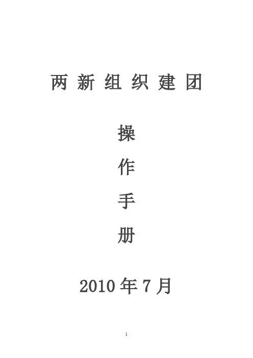 两新组织建团操作手册