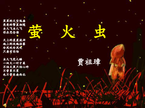 《萤火虫》ppt课件