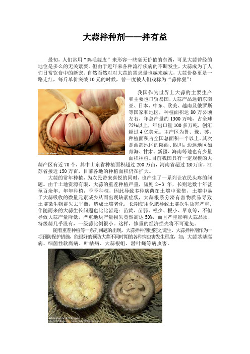 大蒜拌种剂