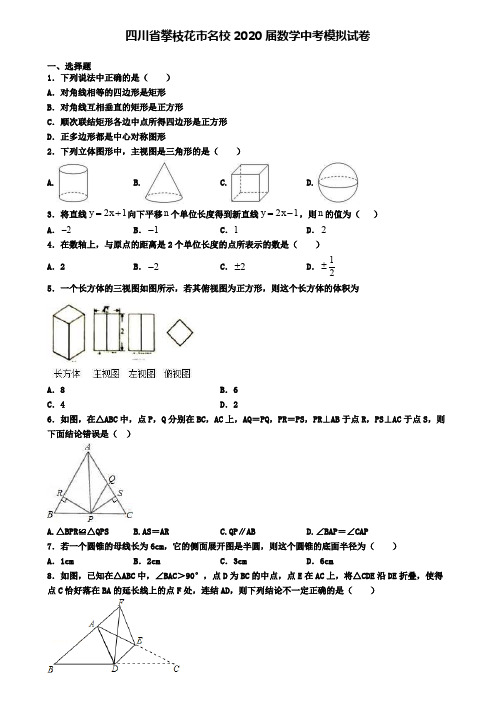 四川省攀枝花市名校2020届数学中考模拟试卷
