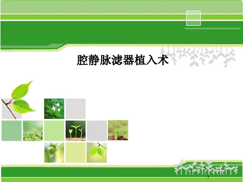 腔静脉滤器植入术