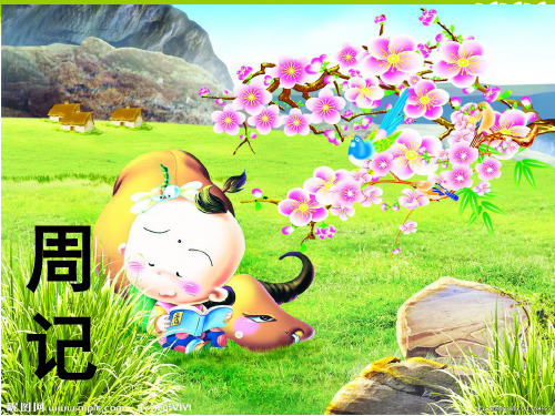 如何写周记(课堂PPT)