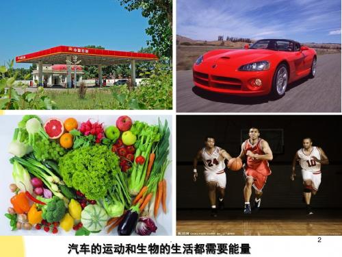 细胞中的糖类和脂质课PPT课件