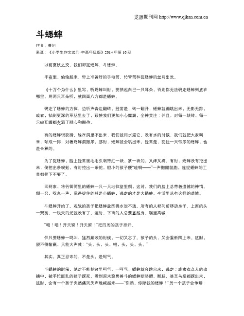 斗蟋蟀