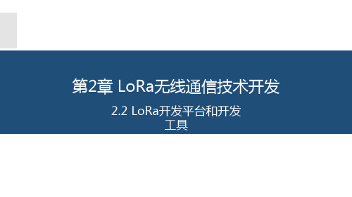物联网长距离无线通信技术应用与开发 2.2 LoRa开发平台和开发工具
