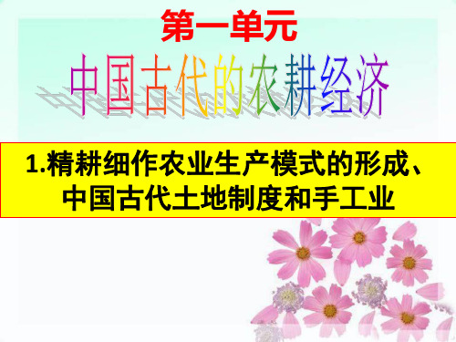 岳麓版 高中历史  必修二  第一单元复习