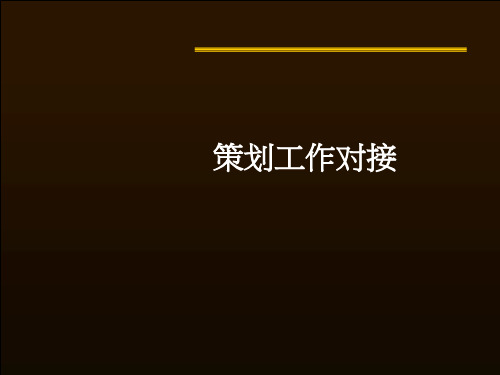 某公司策划工作对接方案(PPT 34页)
