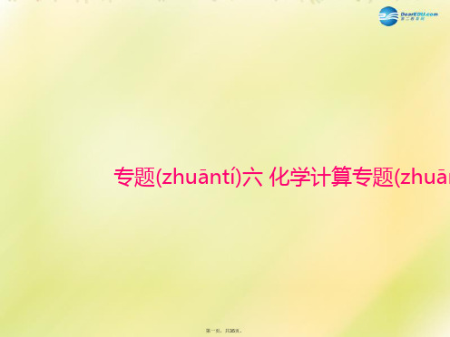 中考化学 第二部分 专题六 化学计算专题复习课件