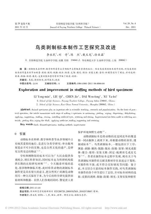 鸟类剥制标本制作工艺探究及改进