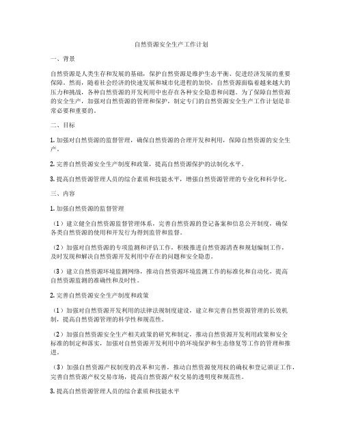 自然资源安全生产工作计划