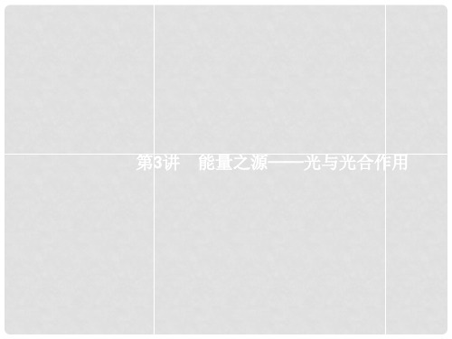 高三生物一轮复习 3.3能量之源光与光合作用课件