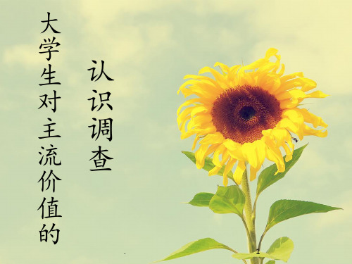 大学生对主流价值观的认同PPT课件