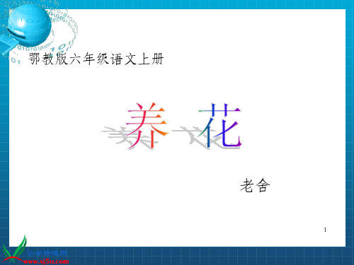 鄂教版六年级上册养花课件