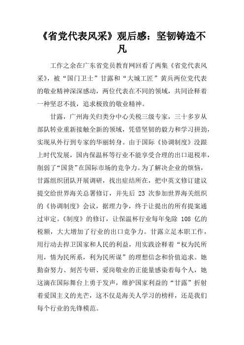 《省党代表风采》观后感：坚韧铸造不凡
