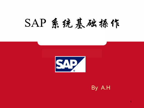 SAP 基础操作通用手册