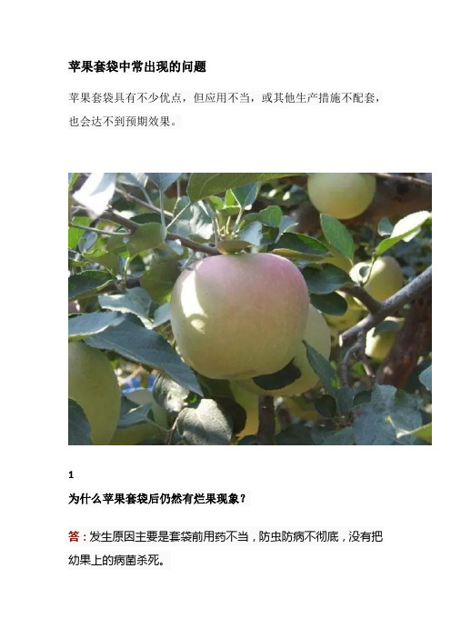 苹果套袋中常出现的问题