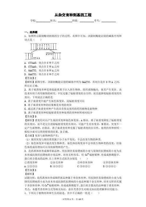 人教版 从杂交育种到基因工程 单元测试1
