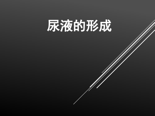 京改版七年级下册生物课件：7.2尿液的形成与排出(共18张PPT)