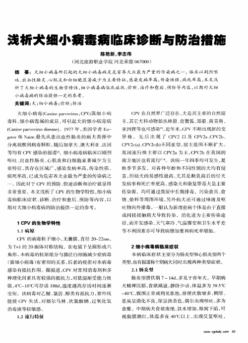浅析犬细小病毒病临床诊断与防治措施