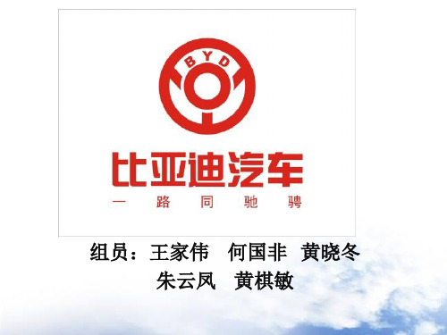 比亚迪品牌定位发展策略