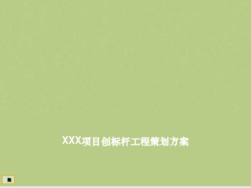 创标杆工程策划方案