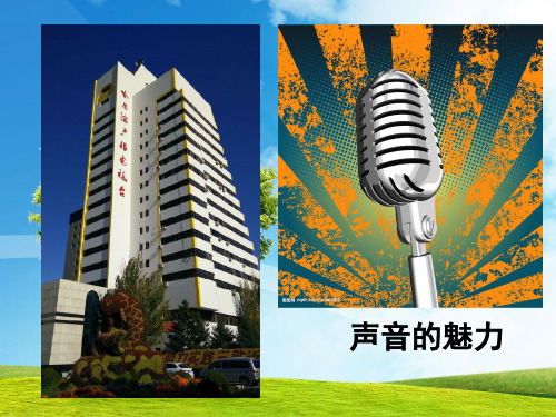 声音的魅力