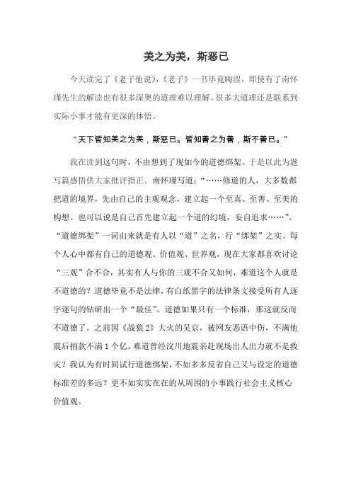 美之为美,斯恶已——《老子他说》读后感